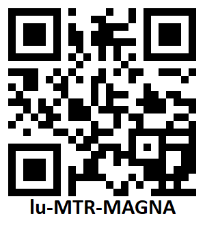 Pipeless MG Whirlpool Motor - Magna Jet Motor Assembly for Model L0704C